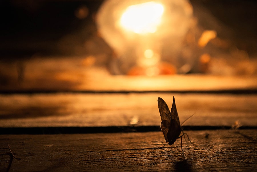 How To Avoid Glare on Glasses in Zoom Video DIY Video Studio