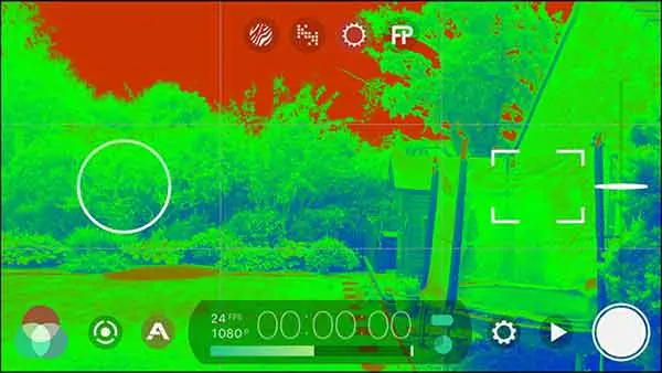 In this image we see the false color overlay. Red indicates over exposed areas. Green shows correctly exposed areas. Blue are under exposed areas.