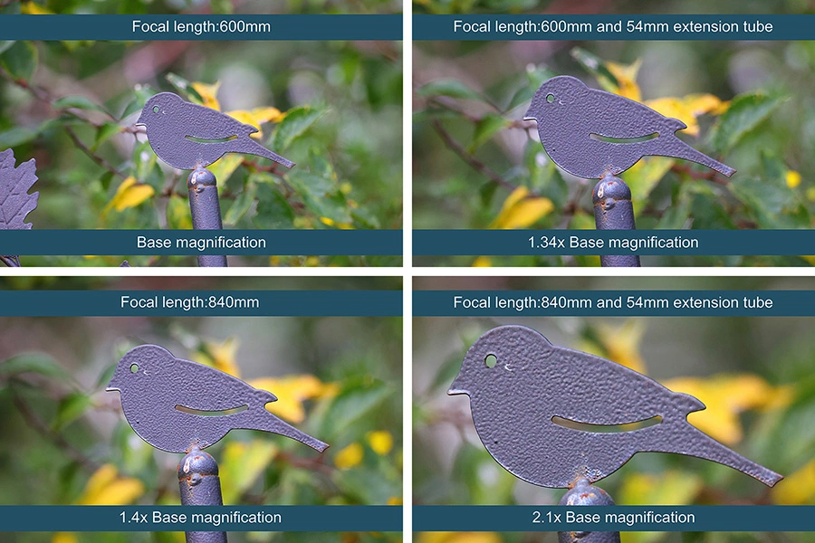 Comparison of the images taken with an EOS R6 and Sigma 150-600mm