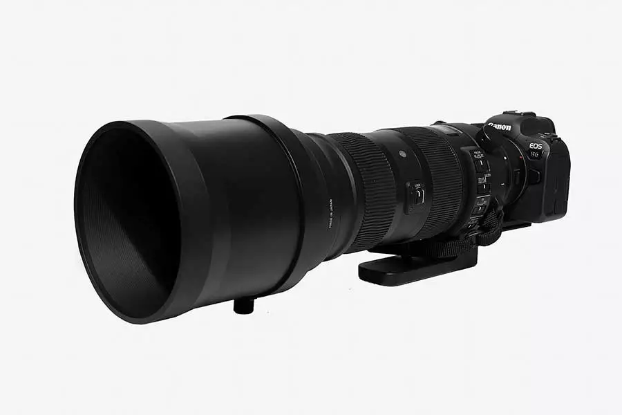 A Sigma 150-600mm telephoto lens on a Canon EOS R6