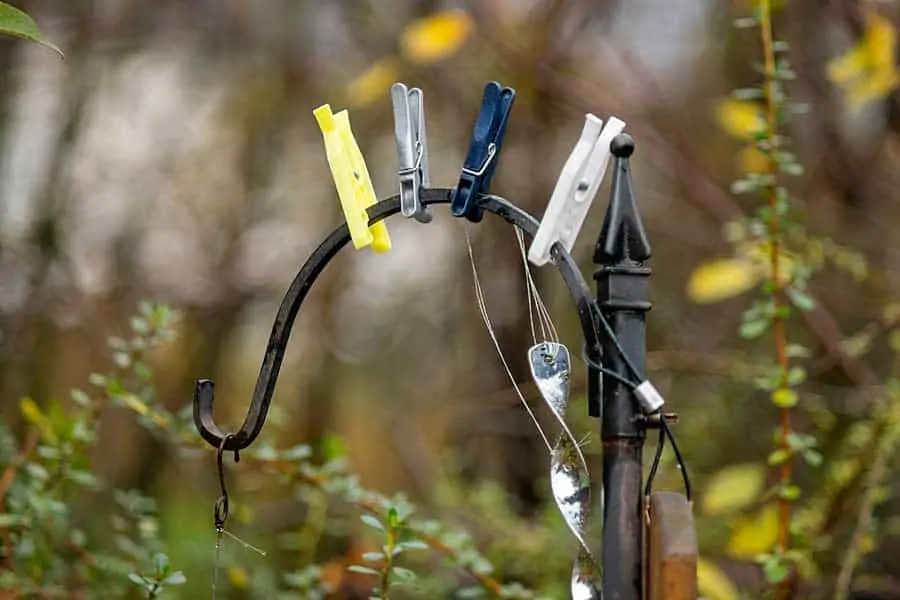 Using clothes pins to stop bird landing on the top of a feeding station