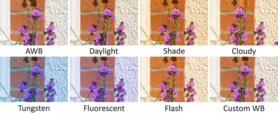 Example-results-of-the-different-White-Balance-settings