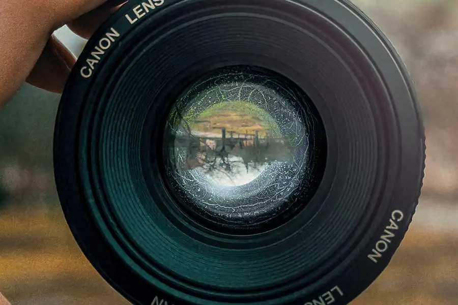 Lens with fungus