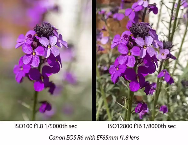 An example of different camera settings giving the same exposure of the subject but a different look