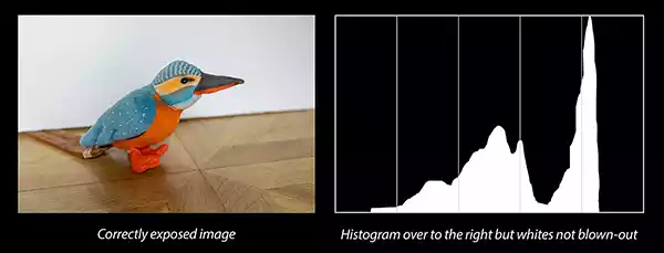 A correctly exposed image and the corresponding histogram showing the pixels are centered on middle gray