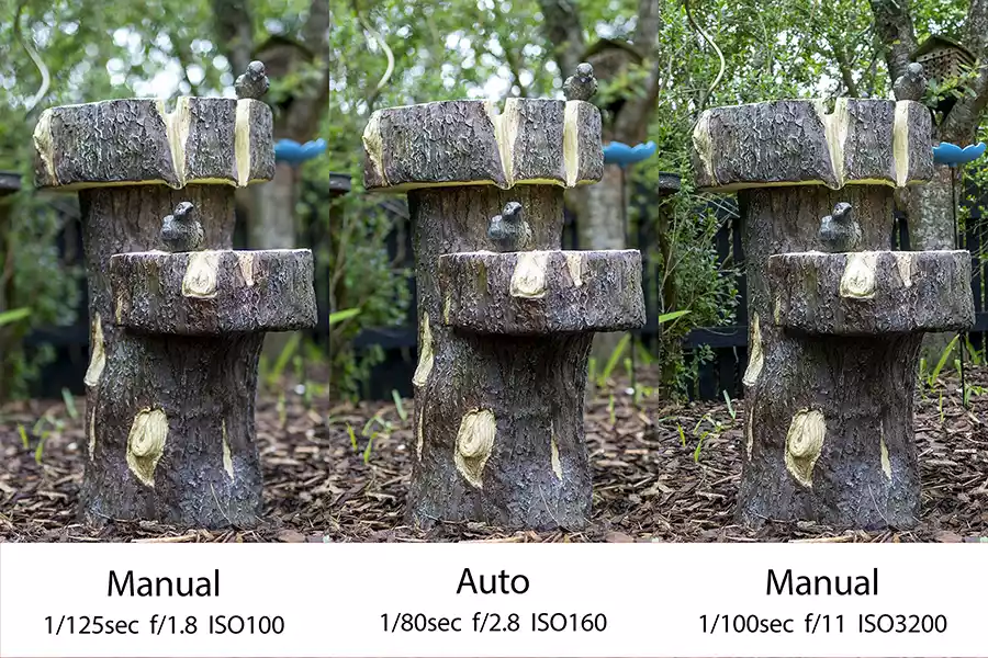 Comparison shots of the same subject but using different camera settings, showing how they affect the appearance of the image