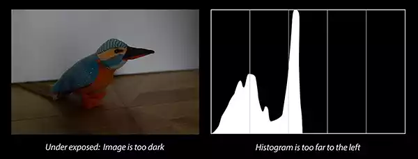 An underexposed image and the corresponding histogram