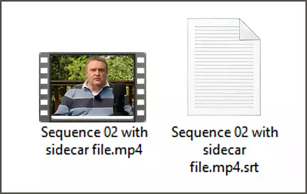 The encoded files in the destination folder