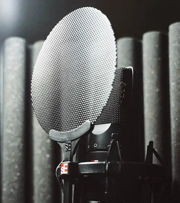 SE-Electronics-metal-mesh-pop-filter