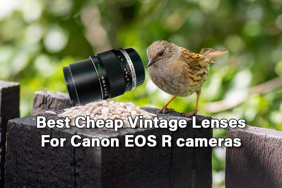 The best cheap vintage lenses for Canon EOS R cameras DIY Video Studio