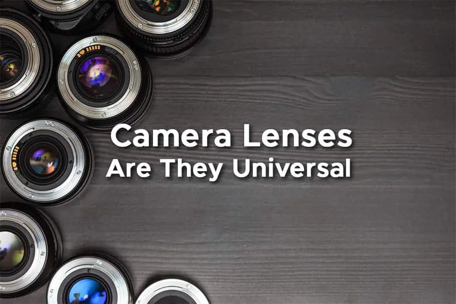 Featured image showing lenses for the article, Are lenses universal or brand specific