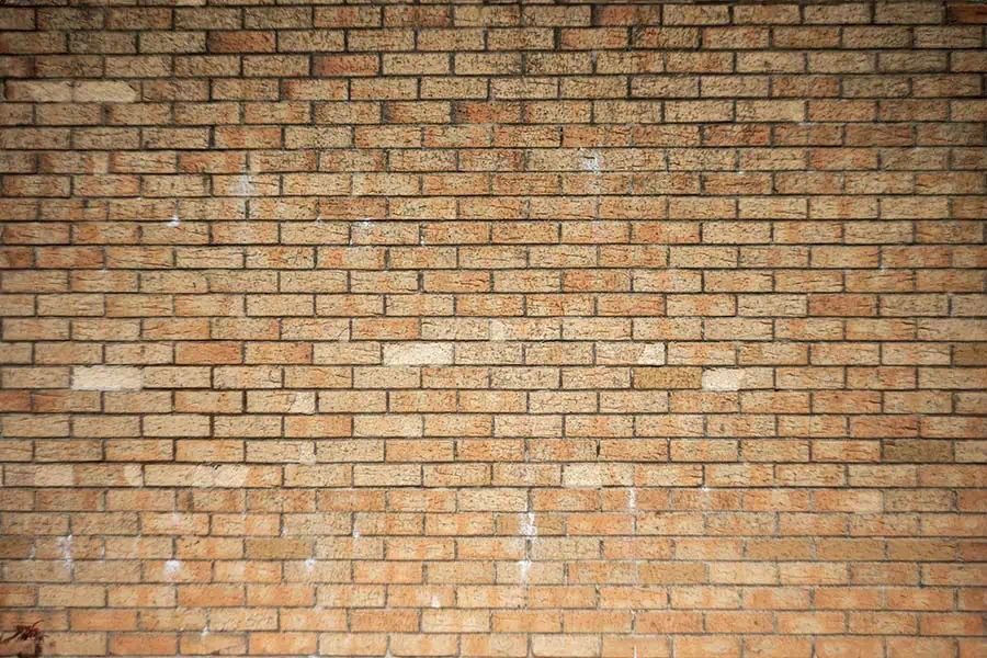 A-brick-wall-shot-with-a-Helios-44M-at-f2-showing-a-sharp-image-at-the-center-and-soft-edges