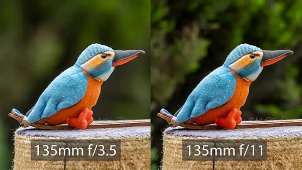 Depth of field comparison using a OM System Zuiko lens on an EOS R camera